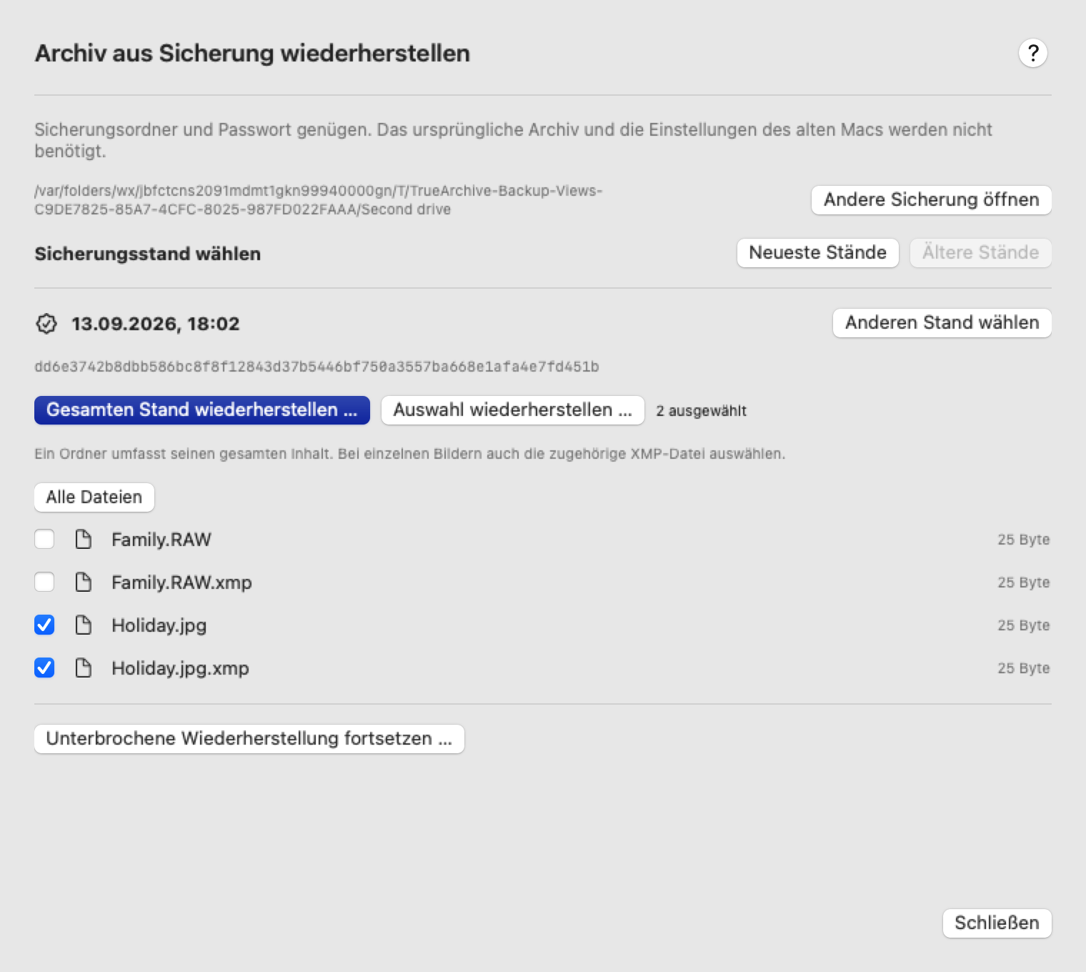 Gewählter Sicherungsstand mit voller Kennung und direkten Wiederherstellungsaktionen über der Dateiauswahl