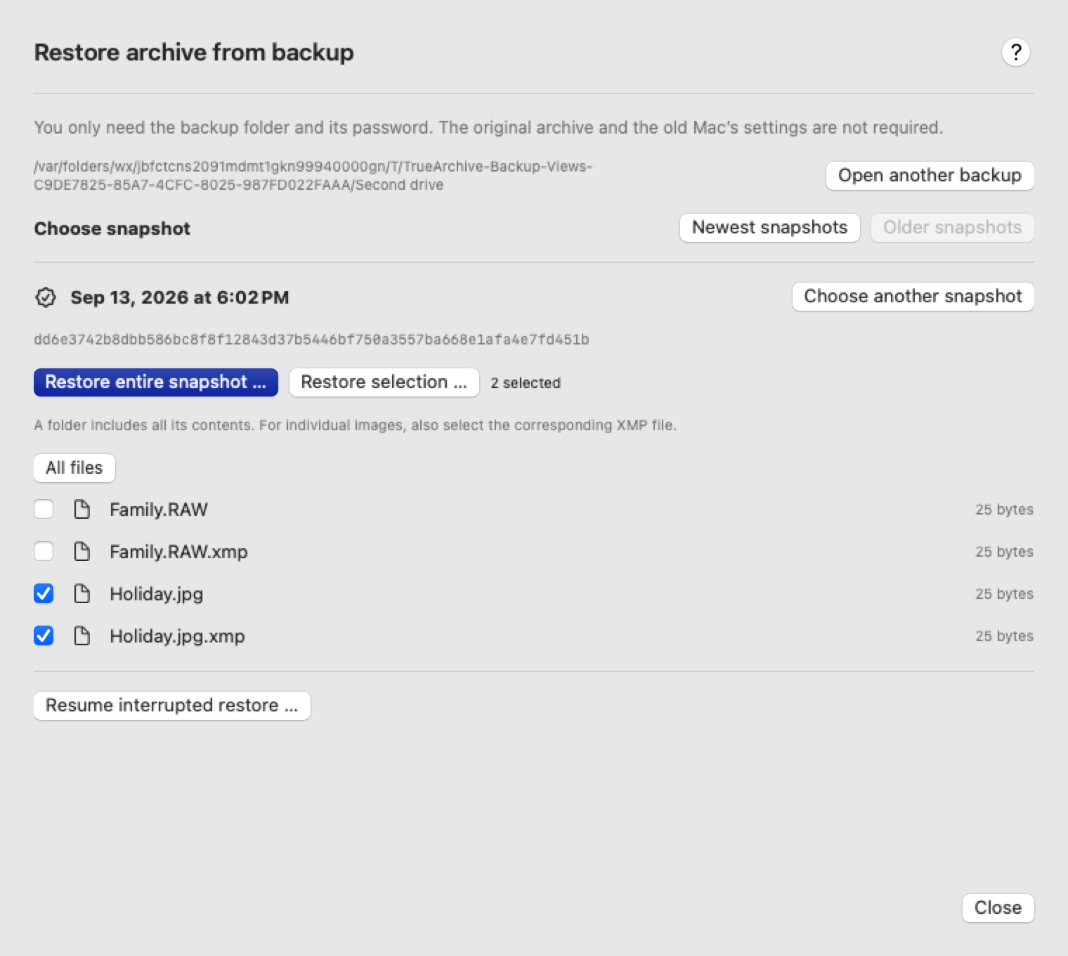 Selected backup snapshot with its full identifier and direct restore actions above the file selection